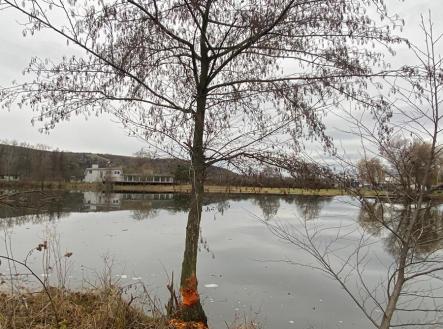 Prodej pozemku pro komerční výstavbu, 7 442 m²