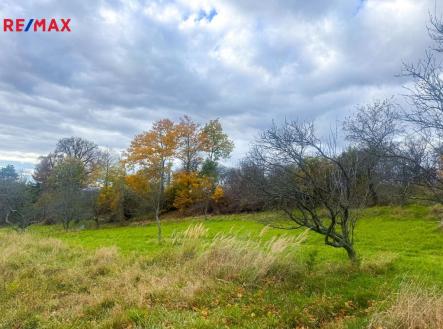 Prodej pozemku, zahrada, 8 864 m²