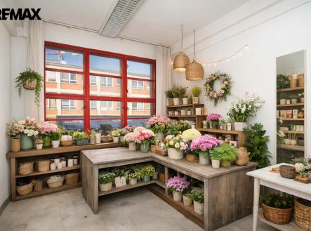 Pronájem obchodní prostor, 12 m²