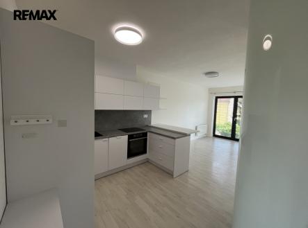 Pronájem bytu, 1+kk, 46 m²
