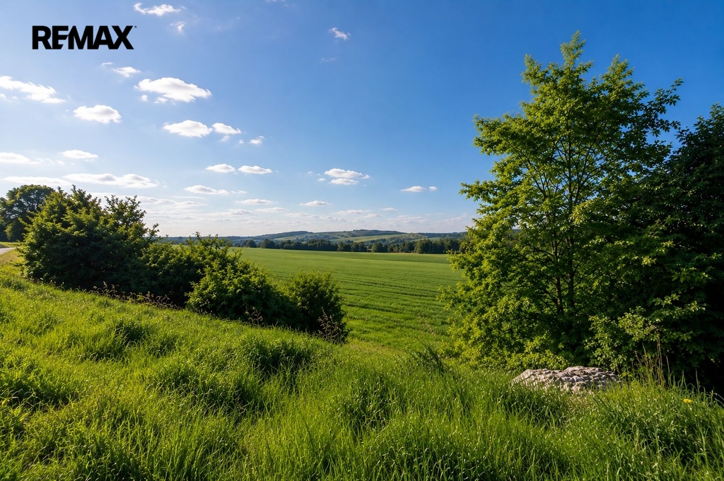 drslavice-pozemek-3.jpeg