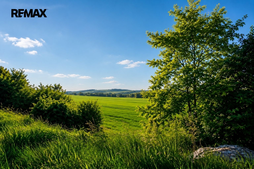 drslavice-pozemek-foto-2.jpeg