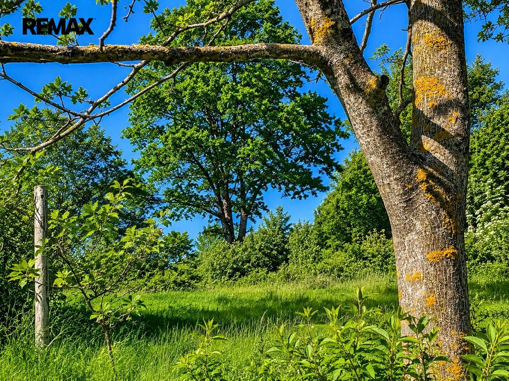 luhacovice-zahrada-1.jpeg
