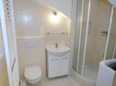 Pronájem bytu, 1+kk, 18 m²