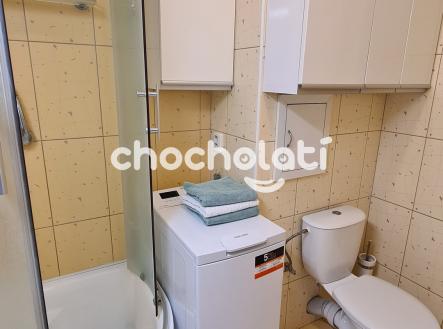 Pronájem bytu, 1+kk, 28 m²