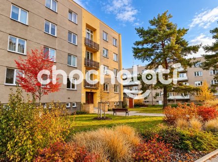 Prodej bytu, 3+1, 75 m²