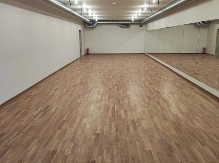 Pronájem obchodní prostor, 540 m²