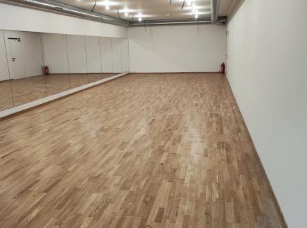 Pronájem obchodní prostor, 540 m²