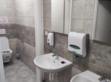 Pronájem obchodní prostor, 540 m²