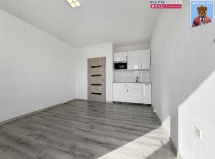 Pronájem bytu, 1+kk, 24 m²