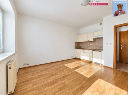 Pronájem bytu, 1+kk, 31 m²
