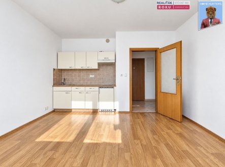 Pronájem bytu, 1+kk, 31 m²