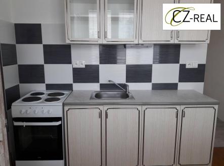 Pronájem bytu, 1+1, 40 m² obrázek