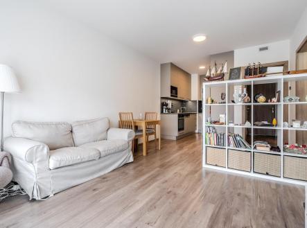 Prodej bytu, 2+kk, 48 m²