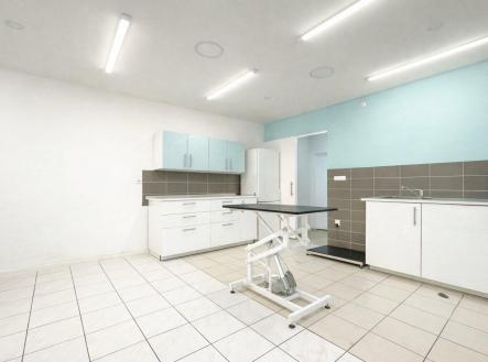 Pronájem komerčního objektu, jiný, 57 m²