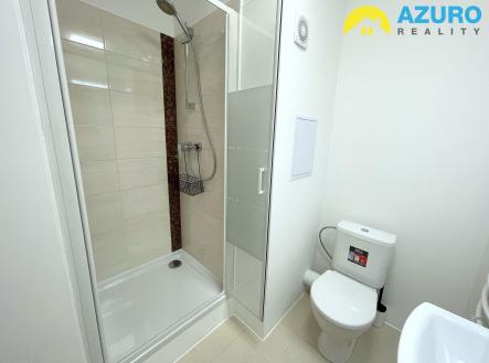 Pronájem bytu, 1+kk, 25 m²