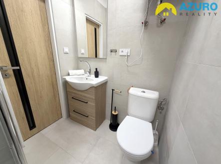 Pronájem bytu, 1+kk, 20 m²