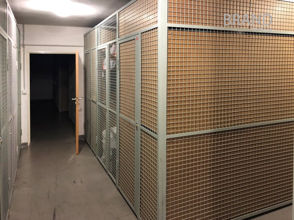 Fotku se nepodařilo načíst.