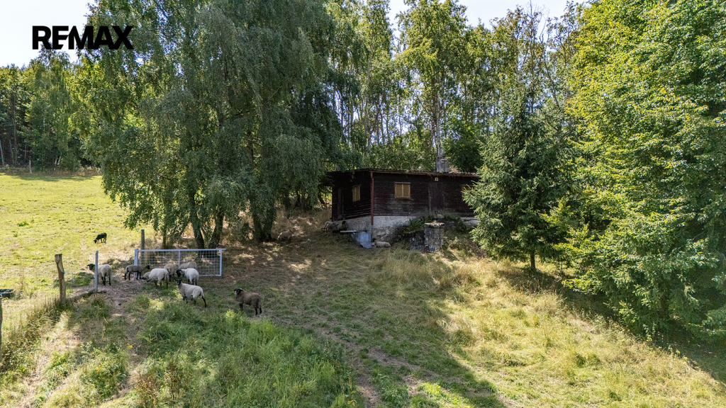 dji-20250807130303-0233-d.png