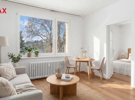 Prodej bytu, 1+1, 35 m²