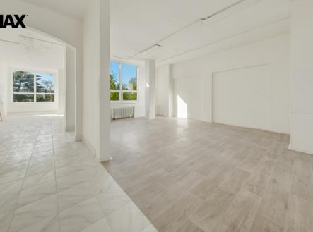 Pronájem obchodní prostor, 100 m²