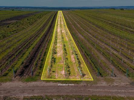 Prodej pozemku, zemědělská půda, 3 706 m²