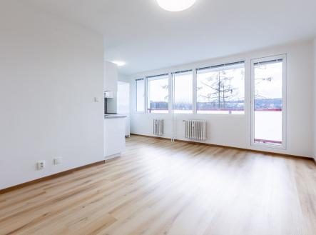 Pronájem bytu, 1+kk, 42 m²