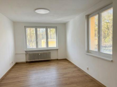 Pronájem bytu, 2+1, 55 m²