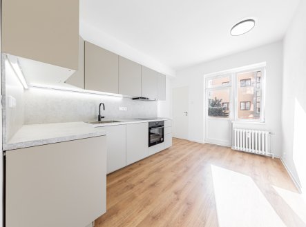 Pronájem bytu, 1+1, 48 m²