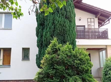 Pronájem domu/vily, 317 m²