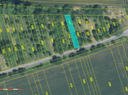 Prodej - pozemek, les, 3 053 m²