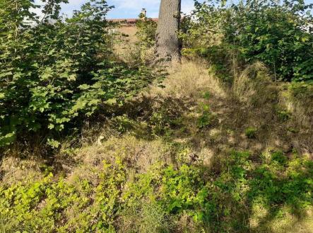 Prodej pozemku, trvalý travní porost, 578 m²