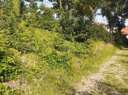 Prodej pozemku, trvalý travní porost, 578 m²