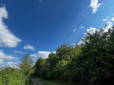 Prodej pozemku, zemědělská půda, 4 371 m²