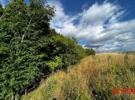 Prodej pozemku, zemědělská půda, 4 371 m²