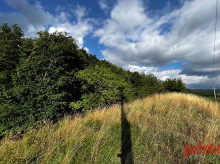 Prodej pozemku, zemědělská půda, 4 371 m²