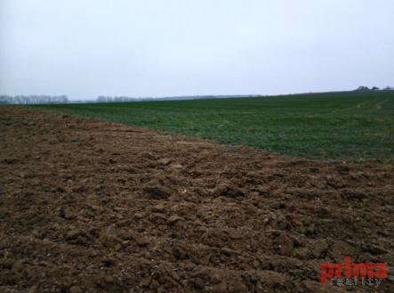 Prodej pozemku pro bydlení, 1 900 m² obrázek