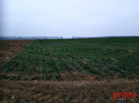 Prodej pozemku pro bydlení, 1 900 m²