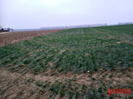 Prodej pozemku pro bydlení, 1 900 m²