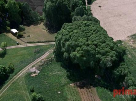 Prodej pozemku, trvalý travní porost, 1 863 m²