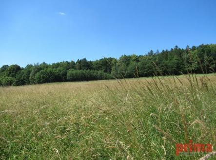 Prodej - pozemek pro bydlení, 1 299 m²