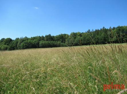 Prodej pozemku pro bydlení, 1 299 m²