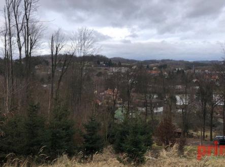 Prodej pozemku, les, 6 037 m²