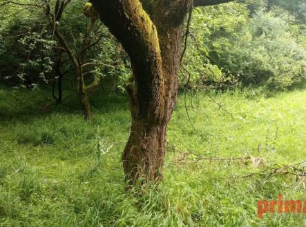 Prodej pozemku pro bydlení, 626 m² obrázek