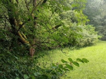 Prodej pozemku pro bydlení, 626 m²