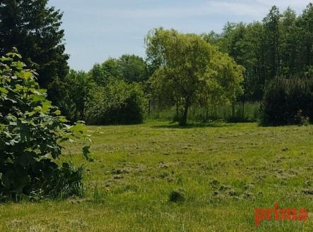 Prodej pozemku pro bydlení, 2 290 m²