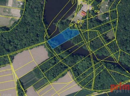 Prodej pozemku, trvalý travní porost, 4 229 m²