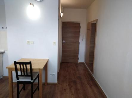 Pronájem bytu, 1+kk, 20 m²