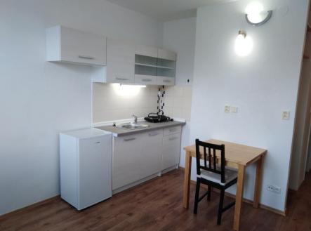 Pronájem bytu, 1+kk, 20 m²