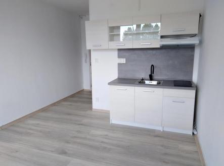 Pronájem bytu, 1+kk, 21 m²